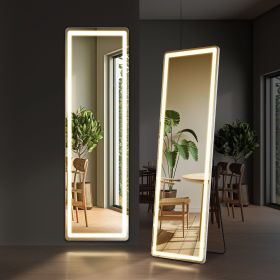 LED 3 Color Lighting Full Body Mirror 60"x 16" Rectangle Floor Mirror with Lights Wall Mounted Free Standing Leaning for Home, White